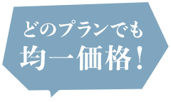 どのプランでも均一価格